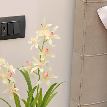 Misa San Lorenzo Maison d'hôtes Rome